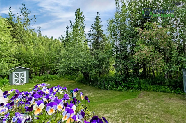 3111 N Intuition Dr, Wasilla, AK 99654 - view of green lawn featuring a storage shed