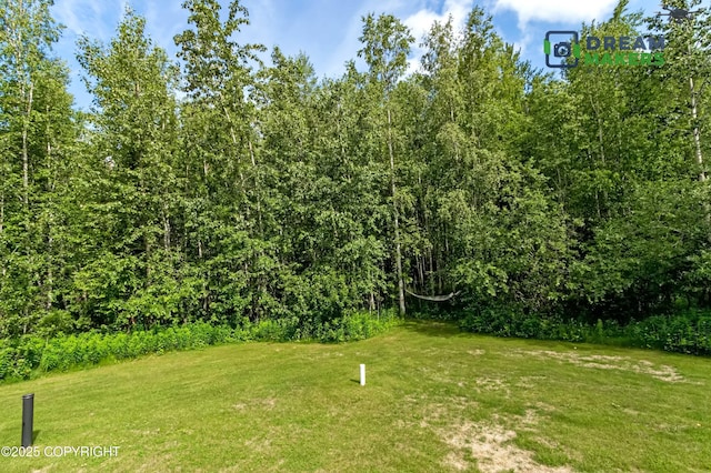 3111 N Intuition Dr, Wasilla, AK 99654 - view of grassy yard