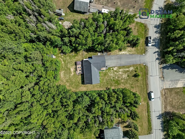 3111 N Intuition Dr, Wasilla, AK 99654 - aerial view
