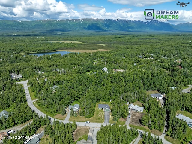 3111 N Intuition Dr, Wasilla, AK 99654 - aerial view of property and surrounding area with a forest and a water and mountain view