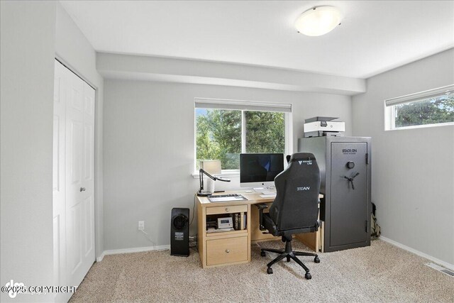 9198 Eagle River Ln, Eagle River, AK 99577 - office featuring carpet floors