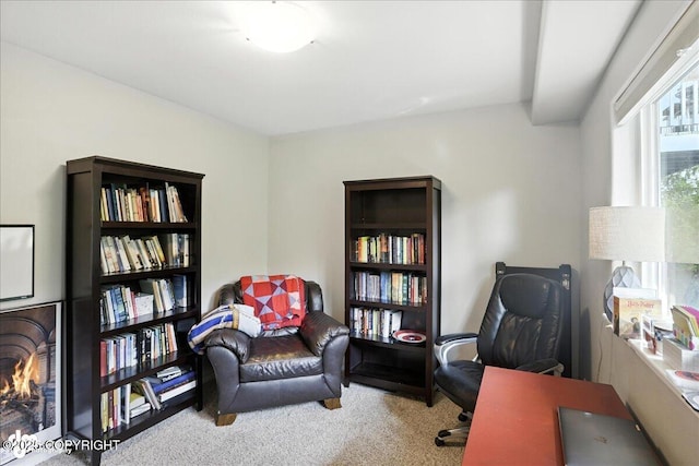 9198 Eagle River Ln, Eagle River, AK 99577 - office space with carpet floors