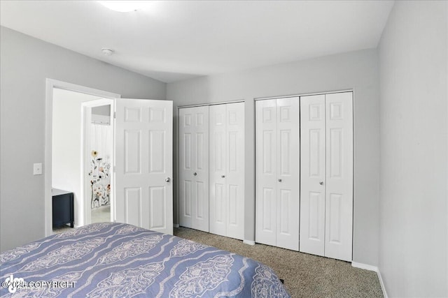 9198 Eagle River Ln, Eagle River, AK 99577 - bedroom with two closets and carpet