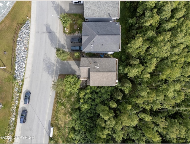 9198 Eagle River Ln, Eagle River, AK 99577 - bird's eye view