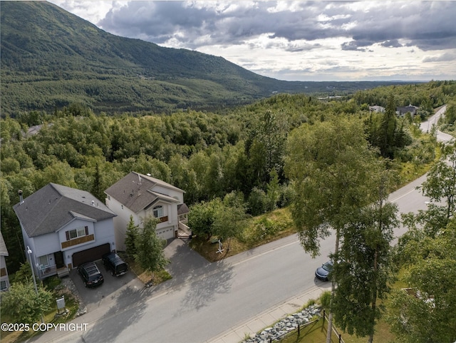 9198 Eagle River Ln, Eagle River, AK 99577 - mountain view featuring a heavily wooded area