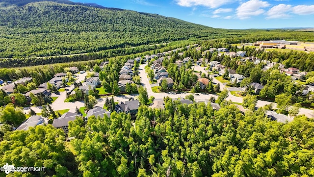 17001 Yellowstone Dr, Eagle River, AK 99577 - aerial perspective of suburban area with a forest and a mountain backdrop