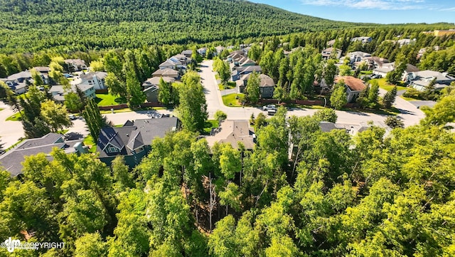 17001 Yellowstone Dr, Eagle River, AK 99577 - aerial perspective of suburban area featuring a forest