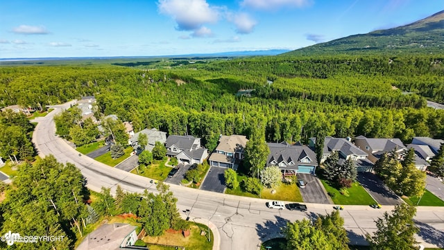 17001 Yellowstone Dr, Eagle River, AK 99577 - aerial view of residential area featuring a heavily wooded area and a mountainous background