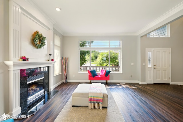 17001 Yellowstone Dr, Eagle River, AK 99577 - living area with dark wood-type flooring, ornamental molding, a fireplace, and recessed lighting