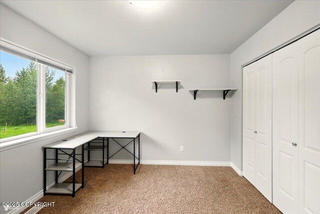 404 N Denali St, Palmer, AK 99645 - photo 20