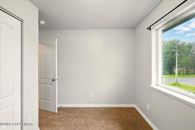 404 N Denali St, Palmer, AK 99645 - photo 27
