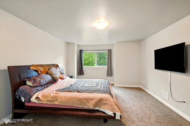 404 N Denali St, Palmer, AK 99645 - photo 30