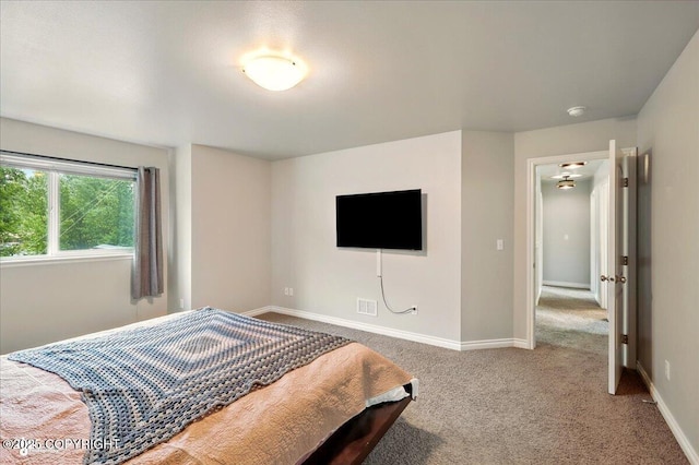 404 N Denali St, Palmer, AK 99645 - photo 32
