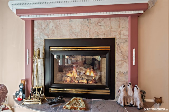 2215 S Austin Cir, Palmer, AK 99645 - detailed view of a glass covered fireplace and baseboards