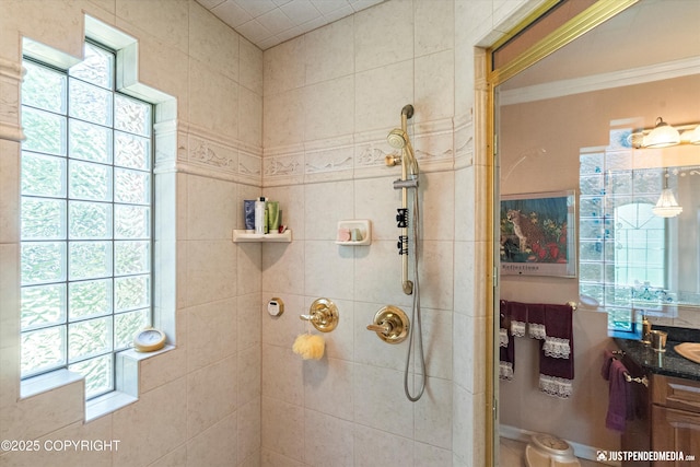 2215 S Austin Cir, Palmer, AK 99645 - full bathroom with tiled shower, vanity, plenty of natural light, and crown molding