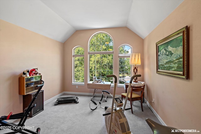 2215 S Austin Cir, Palmer, AK 99645 - exercise room featuring vaulted ceiling and carpet
