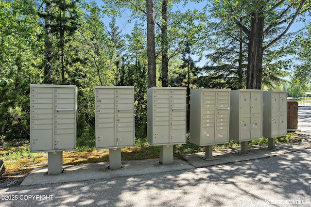 2215 S Austin Cir, Palmer, AK 99645 - view of home's community featuring mail area