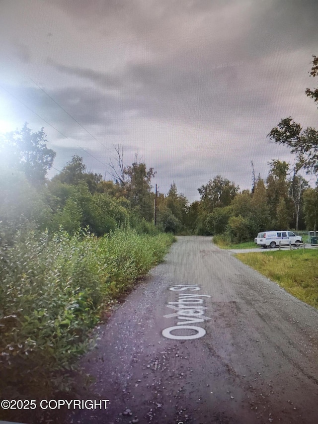 4190 W Overby St, Big Lake, AK 99654 - photo 2
