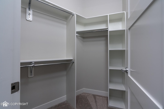 528 Coastal Pl # 1, Anchorage, AK 99501 - spacious closet featuring carpet flooring