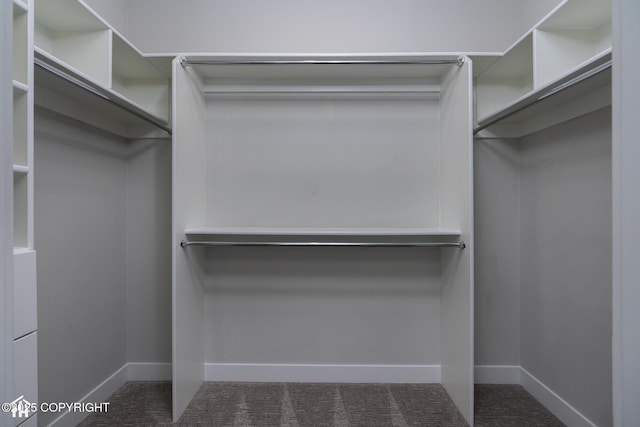 528 Coastal Pl # 1, Anchorage, AK 99501 - spacious closet featuring dark colored carpet