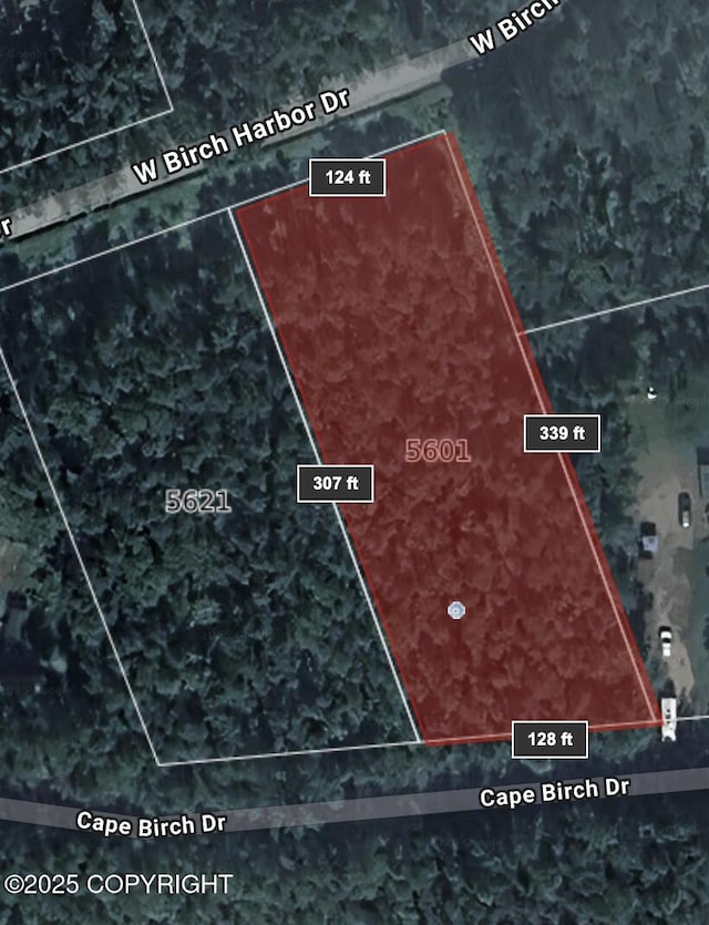 5601 W Cape Birch Dr, Wasilla, AK 99623