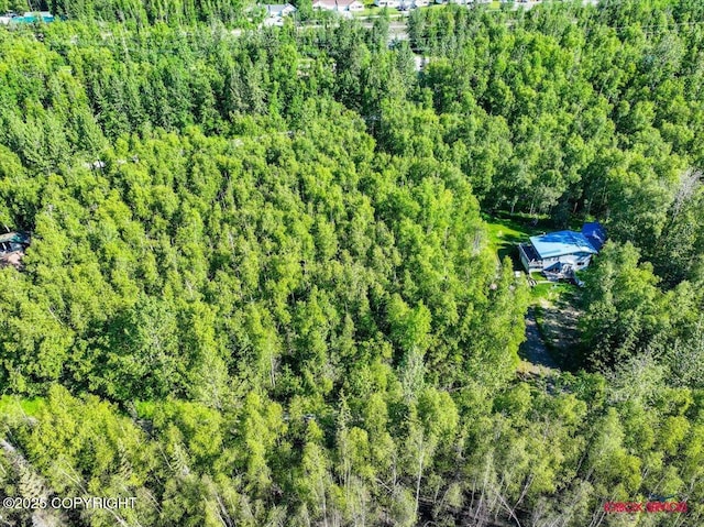 5601 W Cape Birch Dr, Wasilla, AK 99623