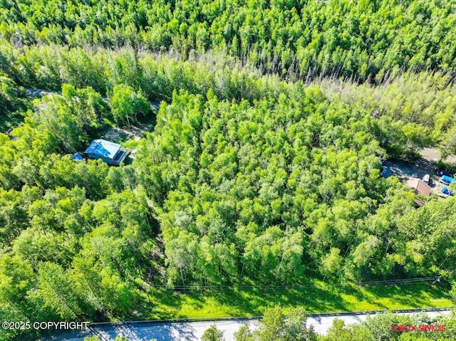 5601 W Cape Birch Dr, Wasilla, AK 99623