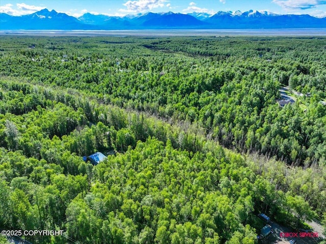 5601 W Cape Birch Dr, Wasilla, AK 99623