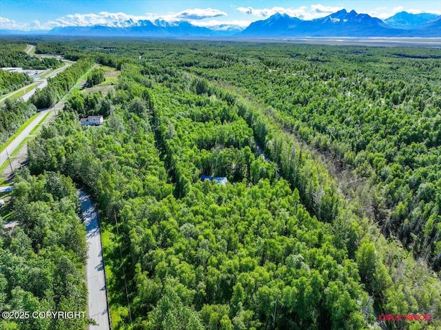 5601 W Cape Birch Dr, Wasilla, AK 99623