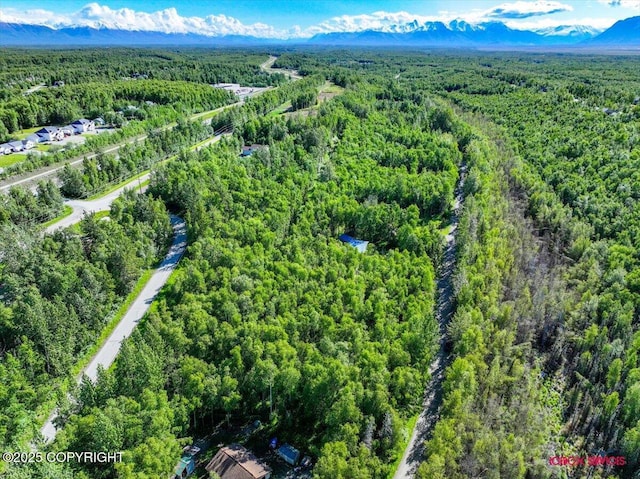 5601 W Cape Birch Dr, Wasilla, AK 99623