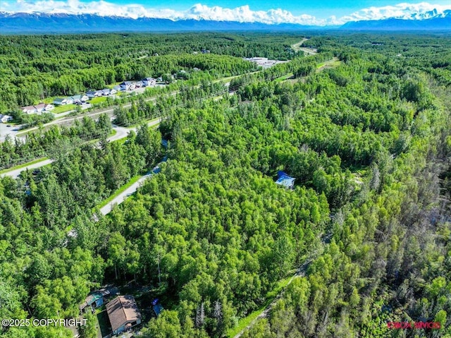 5601 W Cape Birch Dr, Wasilla, AK 99623