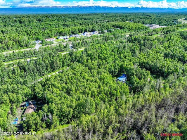 5601 W Cape Birch Dr, Wasilla, AK 99623