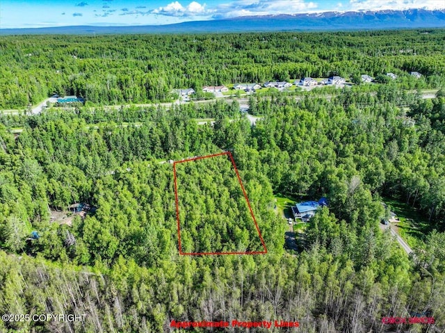 5601 W Cape Birch Dr, Wasilla, AK 99623