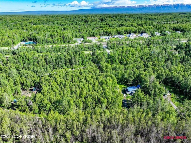5601 W Cape Birch Dr, Wasilla, AK 99623