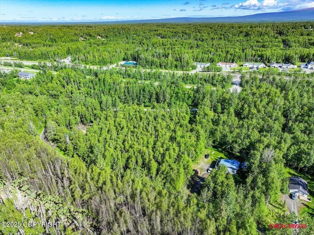 5601 W Cape Birch Dr, Wasilla, AK 99623