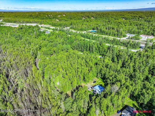 5601 W Cape Birch Dr, Wasilla, AK 99623