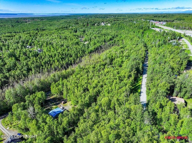 5601 W Cape Birch Dr, Wasilla, AK 99623