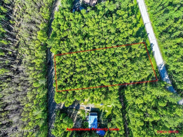 5601 W Cape Birch Dr, Wasilla, AK 99623