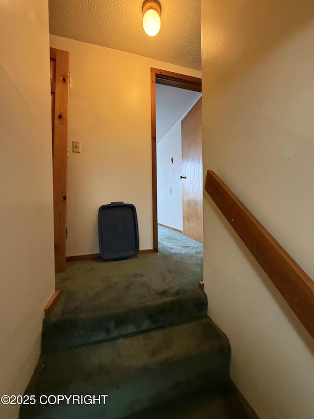 9810 N Runyon Cir, Palmer, AK 99645 - stairway featuring carpet floors and a textured ceiling