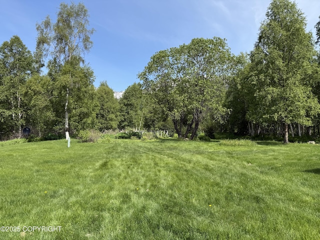 9810 N Runyon Cir, Palmer, AK 99645 - view of grassy yard