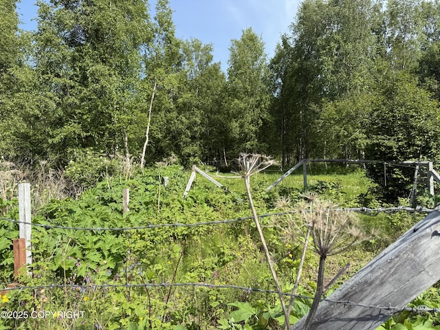 9810 N Runyon Cir, Palmer, AK 99645 - view of local wilderness