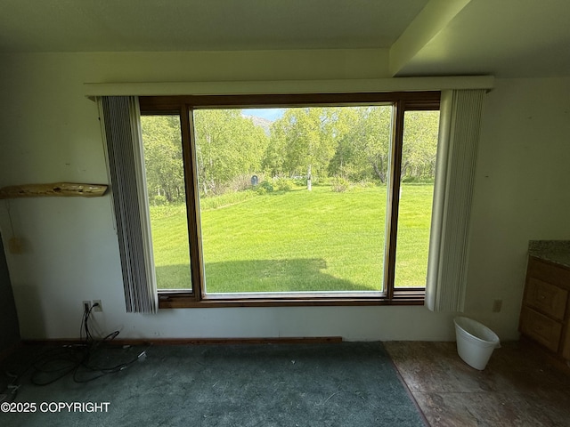 9810 N Runyon Cir, Palmer, AK 99645 - doorway to outside with healthy amount of natural light