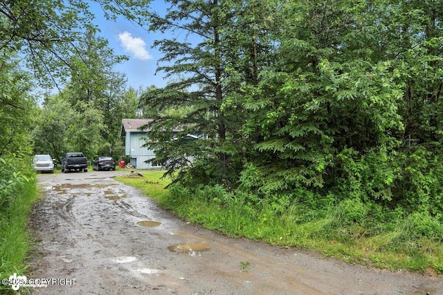 1801 E Dundee Dr, Wasilla, AK 99654 - photo 41