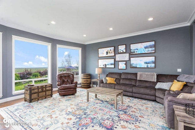 5044 E Loft Cir, Wasilla, AK 99654 - living area with recessed lighting, crown molding, wood finished floors, and baseboards