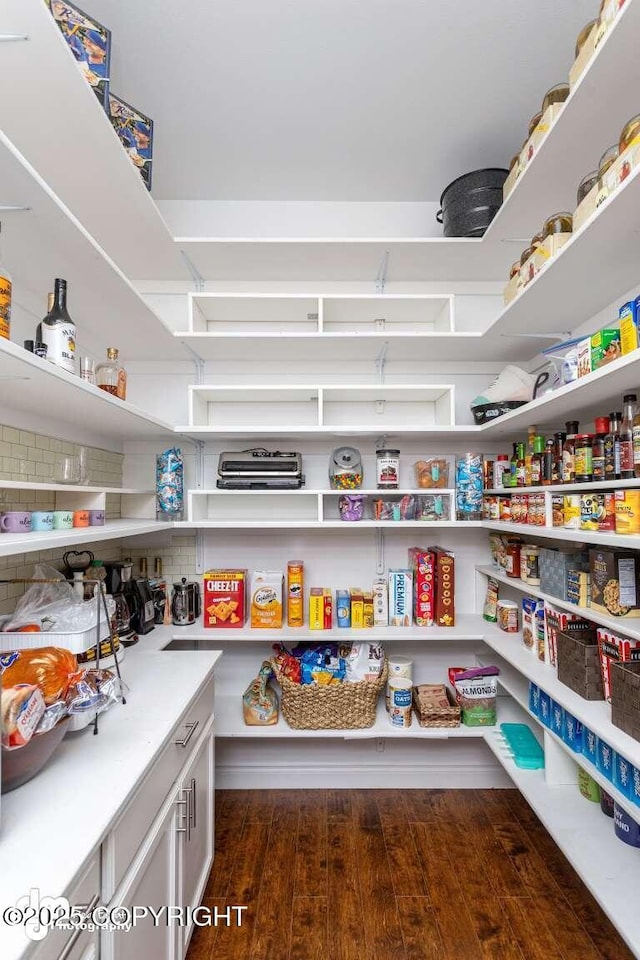 5044 E Loft Cir, Wasilla, AK 99654 - view of pantry