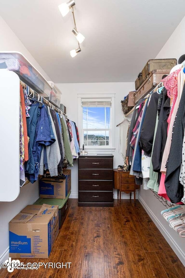 5044 E Loft Cir, Wasilla, AK 99654 - spacious closet featuring wood finished floors
