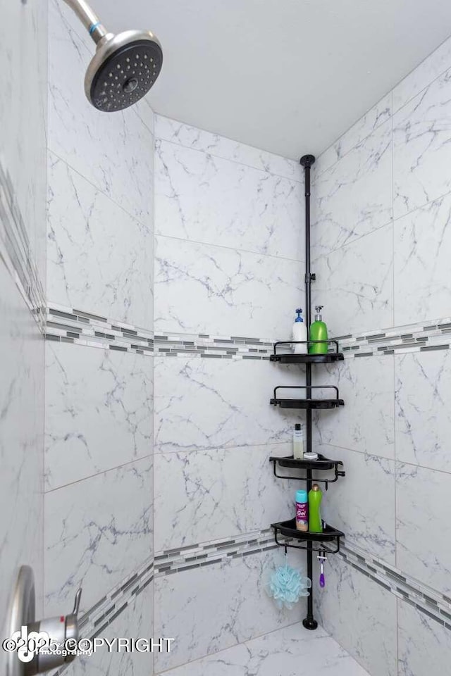 5044 E Loft Cir, Wasilla, AK 99654 - bathroom with a tile shower
