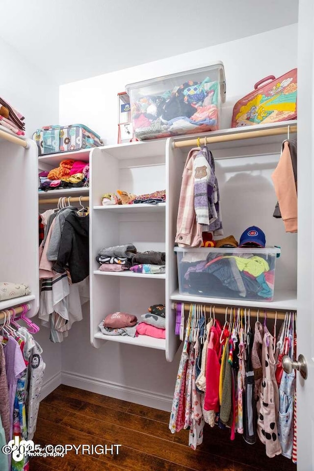 5044 E Loft Cir, Wasilla, AK 99654 - walk in closet featuring wood finished floors