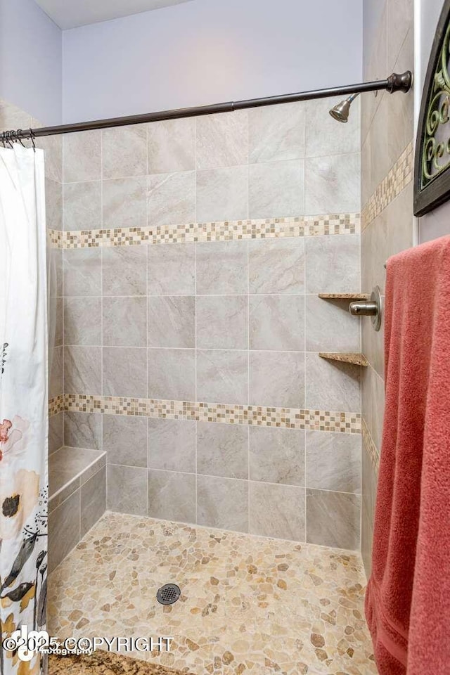 5044 E Loft Cir, Wasilla, AK 99654 - full bathroom with tiled shower