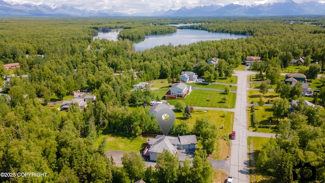 3474 E Wanamingo Dr, Wasilla, AK 99654 - bird's eye view of a forest and a water and mountain view
